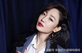 明星黑料大全 明星排行榜,明星黑料排行榜，谁才是舆论的风暴中心？